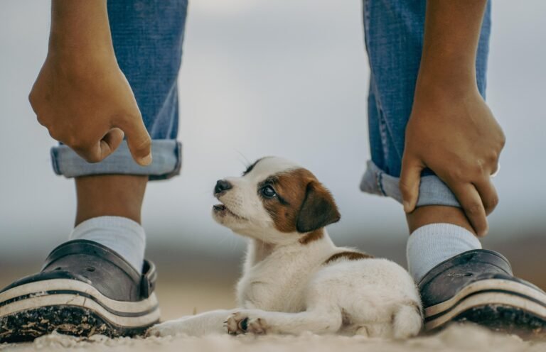 Best dog breed for your family — happy Golden Retriever with kids