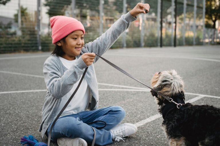 Teach a dog to sit and stay using treat luring and open palm hand signals during positive obedience training.