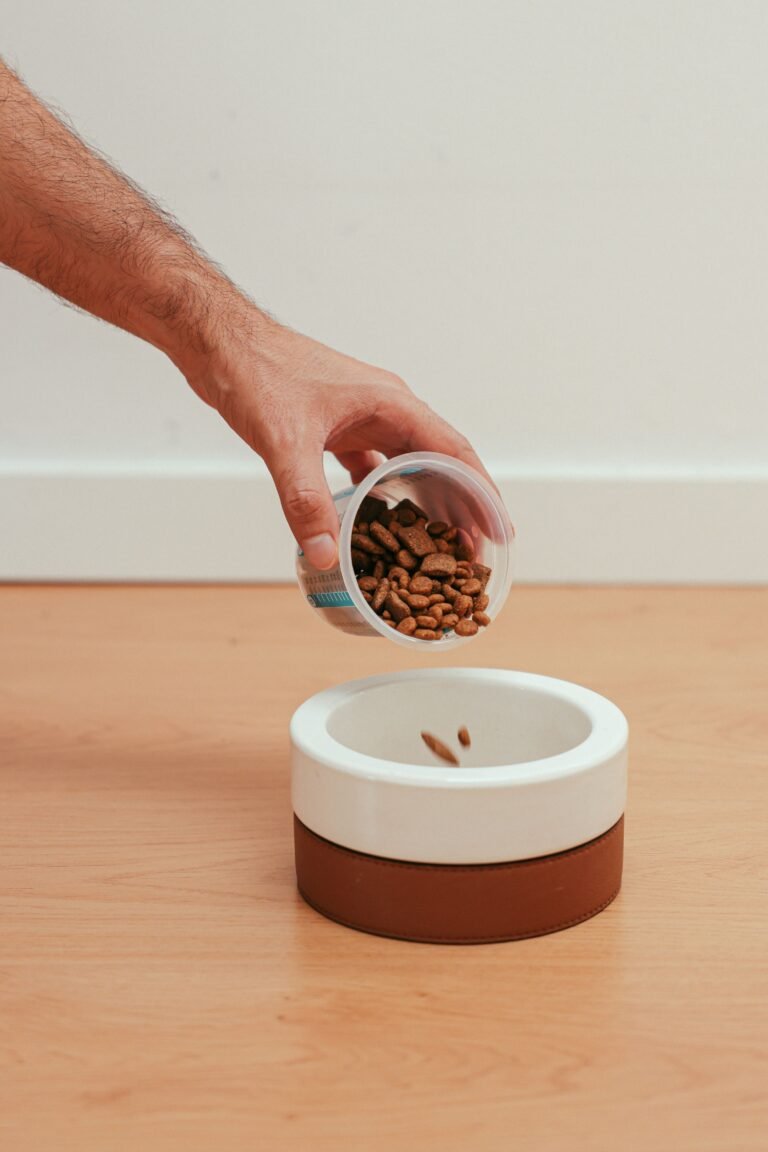 Wet vs Dry Dog Food: 7 Essential Facts Every Owner Must Know